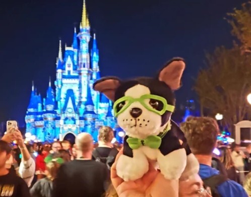 Unlock the Magic: Why Disney’s Land, Sea & Tour Experiences Are Must-Sell Vacations