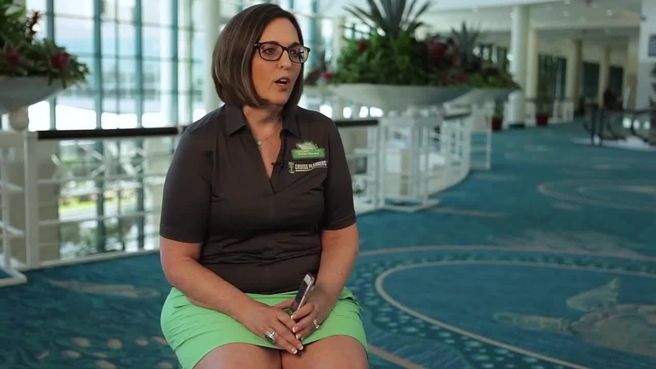 Marketing at Cruise Planners
