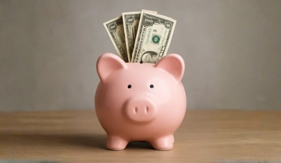 How Much Does It Cost to Buy a Travel Agency Franchise?